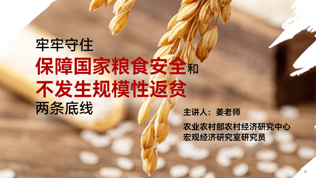 牢牢守住保障国家粮食安全和不发生规模性返贫两条底线