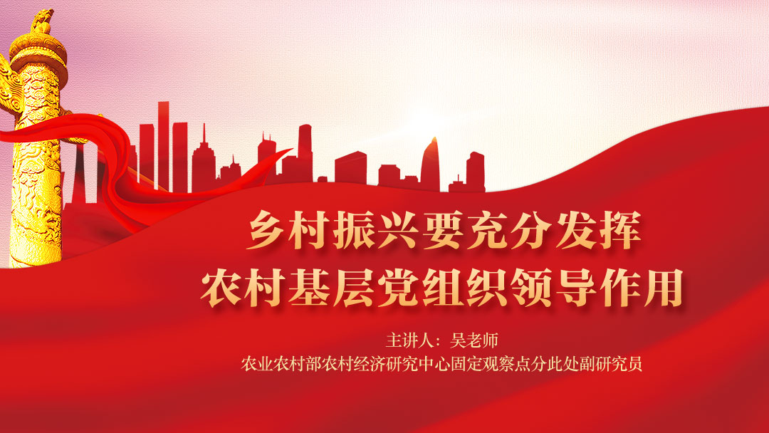 乡村振兴要充分发挥农村基层党组织领导作用